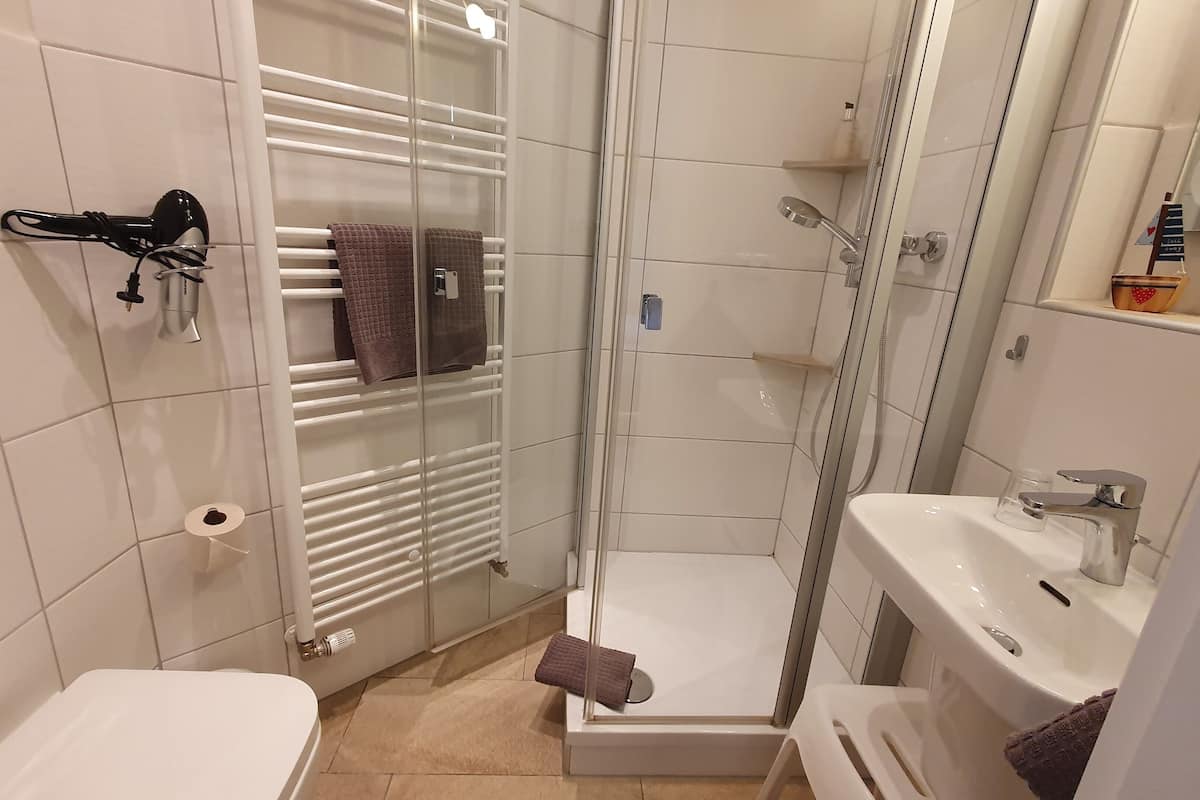 single room | bathroom | shower, hair dryer, towels