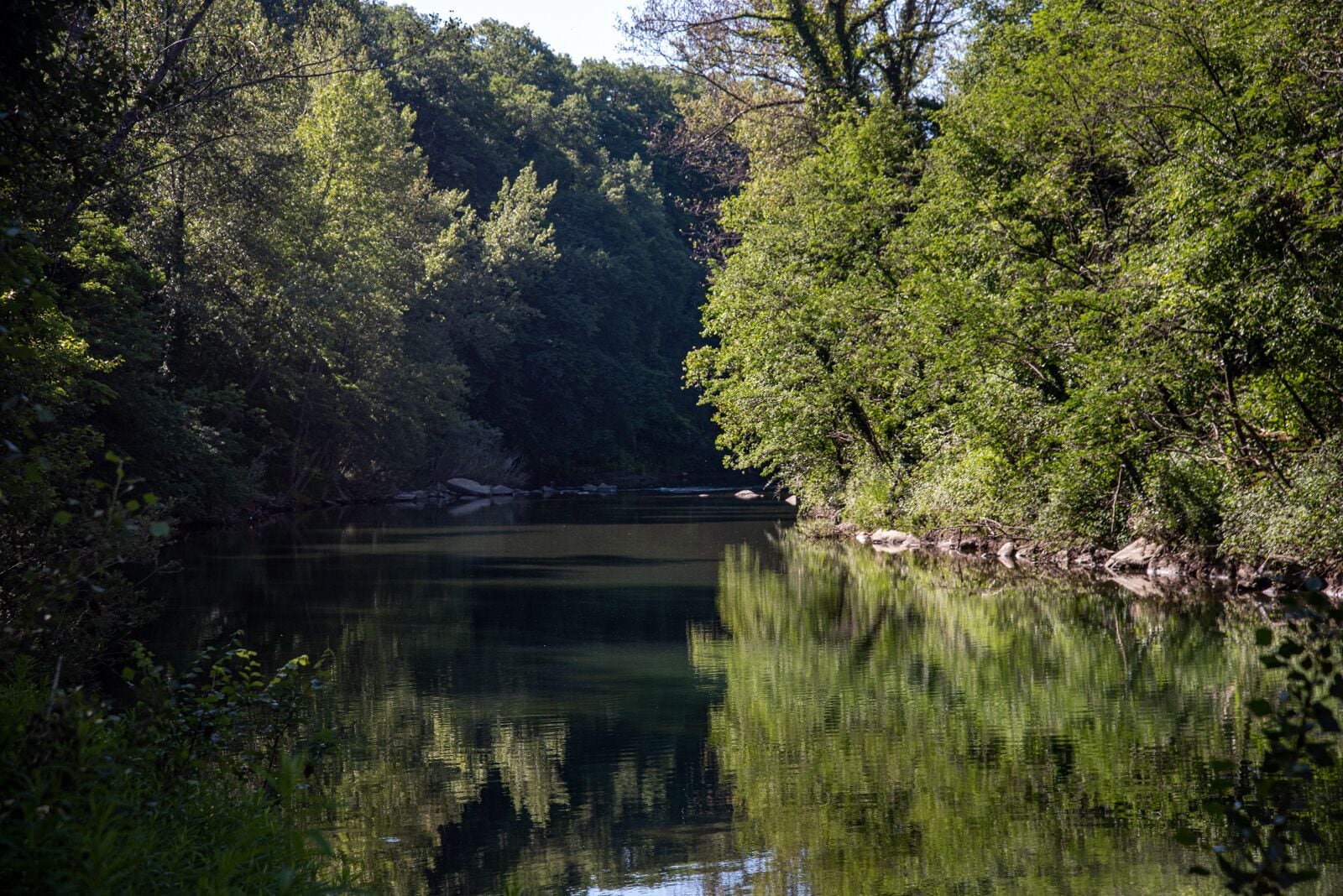 A serene river surrounded by dense greenery.