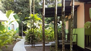 A pathway leading to a building with a green exterior and a covered area with a roof. - Drake Lapas (Drake Bay)