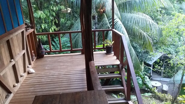 A wooden deck with a railing, surrounded by lush greenery and plants. - Drake Lapas (Drake Bay)