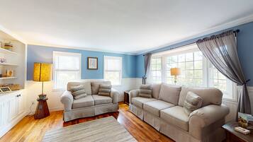 TV, fireplace, books