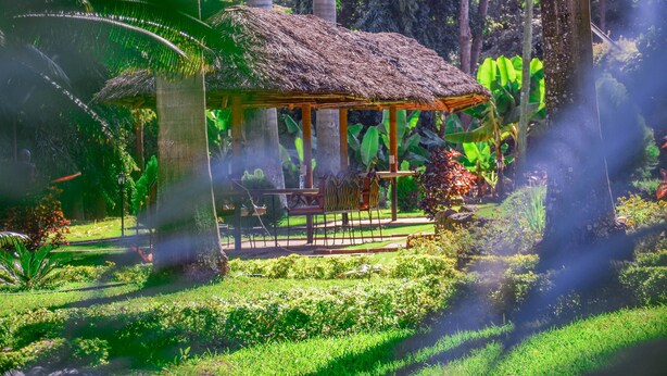 A thatched-roof pavilion with outdoor seating, surrounded by lush greenery and tropical plants. - Mama Thea Homes - Hostel (Moshi)