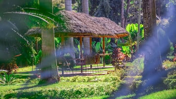 Vườn