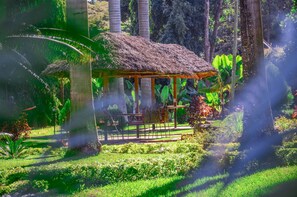 Garden - Mama Thea Homes - Hostel (Moshi)