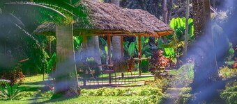 Mama Thea Homes - Hostel