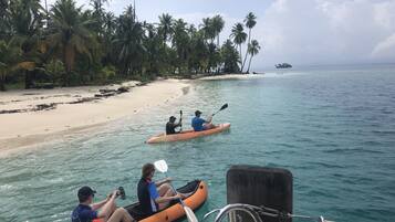 A beach with clear turquoise waters, a sandy shore lined with palm trees, and kayaks in the water.