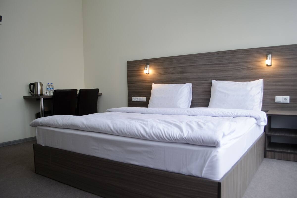 Standard Double Room | Minibar, desk, iron/ironing board (on request), WiFi (free)