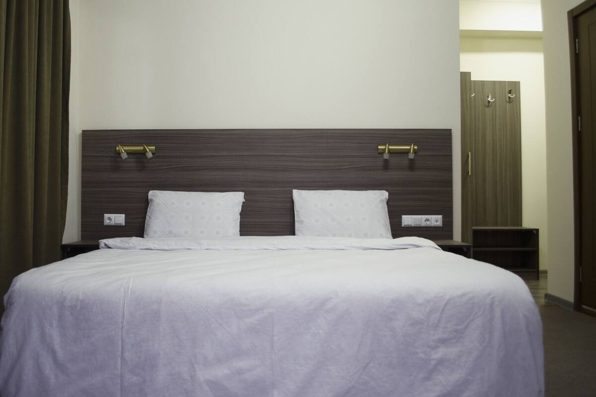 Deluxe Double Room, 1 King Bed | Minibar, desk, iron/ironing board (on request), WiFi (free)