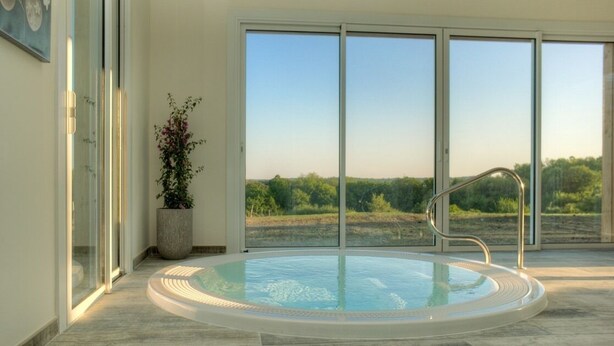 Wellnessbereich mit Whirlpool, Topfpflanze und Blick ins Freie.