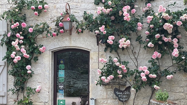 A stone building with a door, pink roses, and red flowers. - Domaine de Labarthe (Espere)