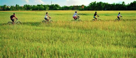A group of people riding bicycles through a field.