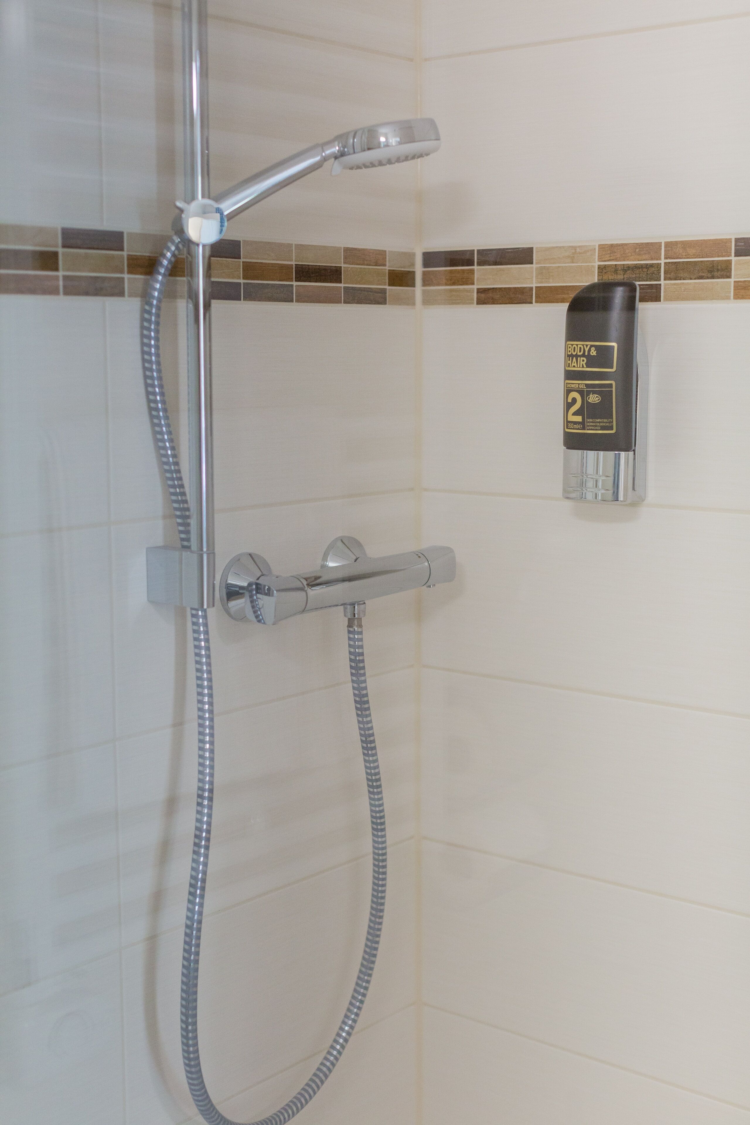 Une douche équipée d’un pommeau de douche à main et d’un flexible à main.