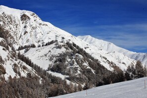 Standard Apartment | View from room - Engadin Lodge (Samnaun)
