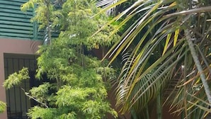 Property grounds - Rafjam new kingston (Kingston)