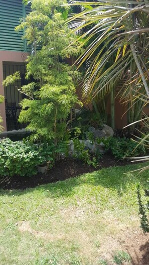 Property grounds - Rafjam new kingston (Kingston)