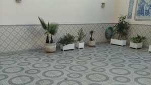 Un piso de baldosas con diseños circulares, plantas en macetas y una pared con un borde decorativo.