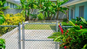 Uma área residencial murada com um caminho de concreto, vegetação exuberante incluindo bananeiras, e um edifício azul com telhado de telhas.
