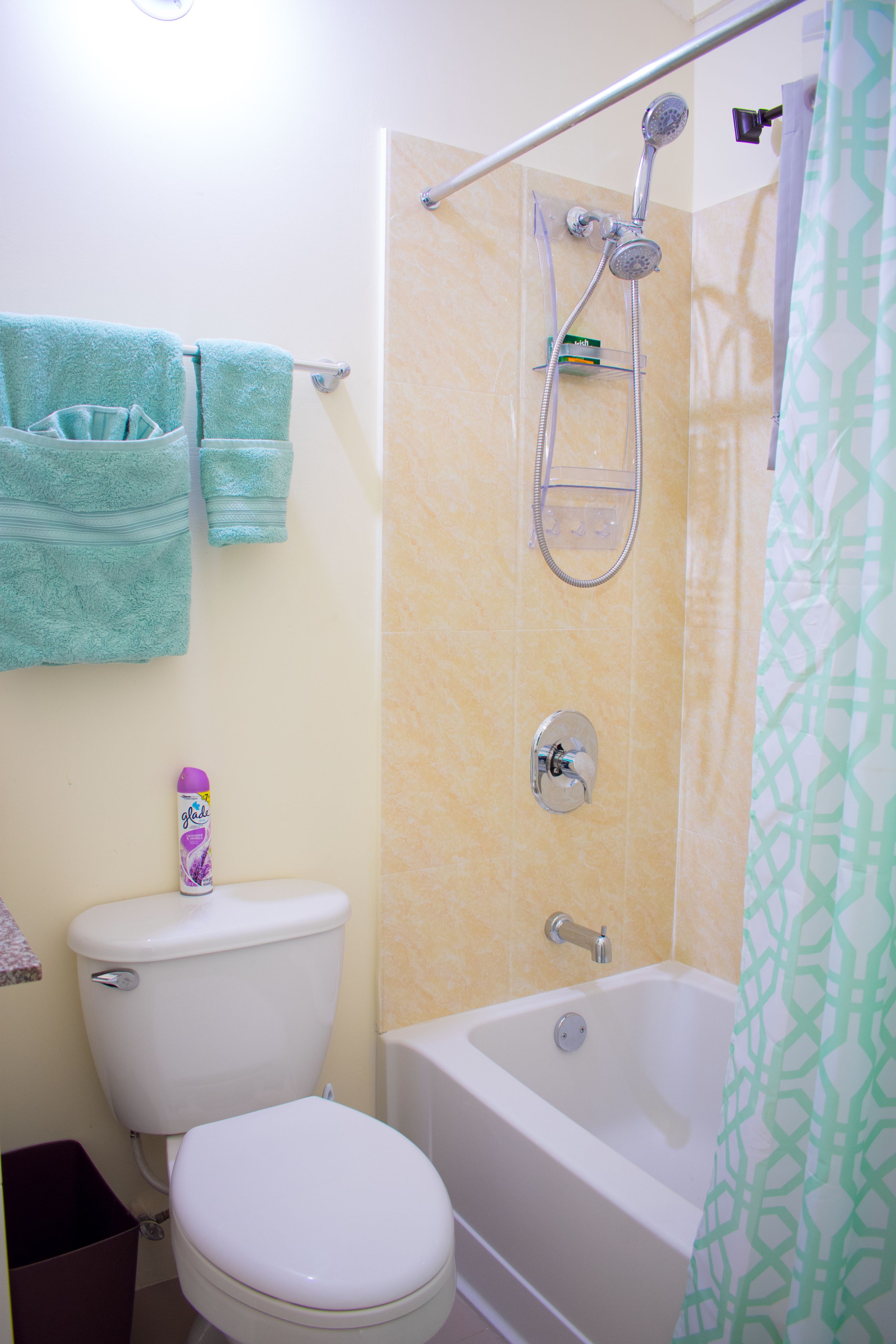 A bathroom with a toilet, bathtub, and shower.