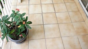 A laundry room with two white washing machines and a potted plant on a tiled floor. - New Kingston Guest Apt Surbiton (Kingston)