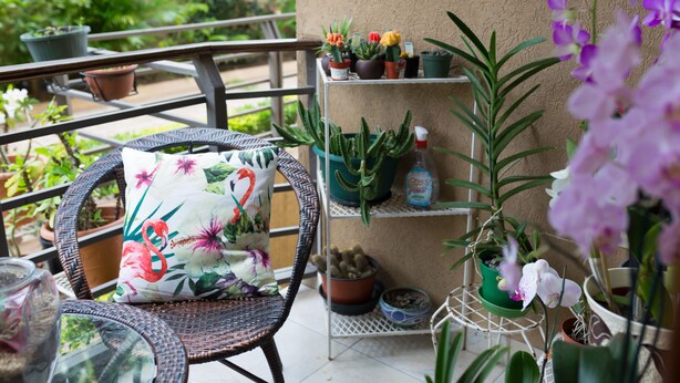 A balcony with wicker furniture, a variety of potted plants, and a metal shelf unit.