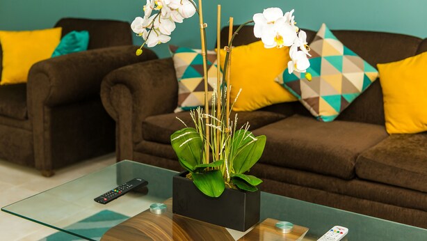 A living room with a glass coffee table, a sofa with patterned cushions, and a potted plant with white flowers.