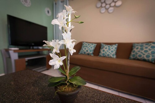 Kingston Most Centrally Located One Bdrm