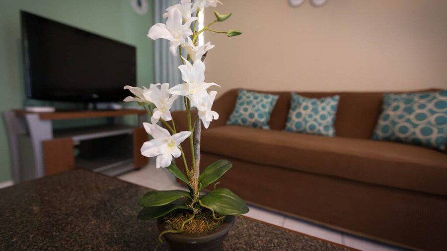 Kingston Most Centrally Located One Bdrm