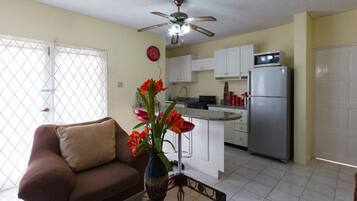 Business-lejlighed - 1 soveværelse | Opholdsområde | 50-tommers fladskærms-tv med kabelkanaler, tv, dvd-afspiller