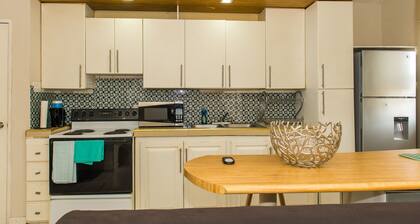 Kingston Most Centrally Located Two Bdrm