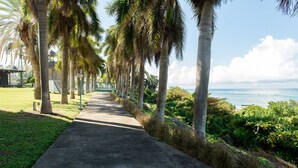 Un camino de concreto bordeado de palmeras que lleva a una playa.