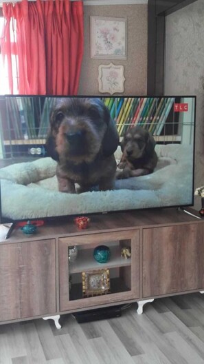 Family Apartment, 1 King Bed with Sofa bed | Living room | LCD TV - Arslan Apart (Istanbul)