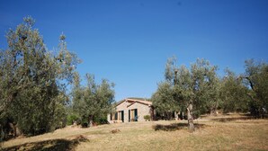 Una casa in pietra con tetto in tegole, circondata da ulivi.