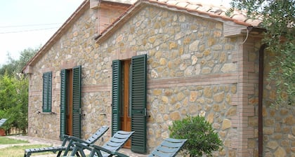 Acogedora villa rodeada de olivos