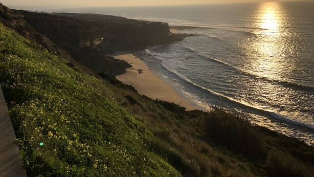 Un paysage côtier avec une plage, des falaises et un ciel dégagé.