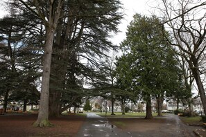 المنطقة المحيطة بالمنشأة