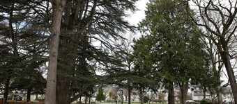 T2 *** begane grond, 200 m van het centrum, volledig gerenoveerd, helder