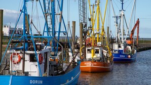 Un puerto con varios barcos pesqueros amarrados, con nombres como "HEIMLAND DORUM" y "DORUM".