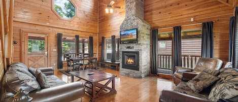 TV, fireplace, video games, DVD player