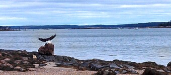 Waterfront Downeast Retreat on Pigeon Hill Rd in Steuben