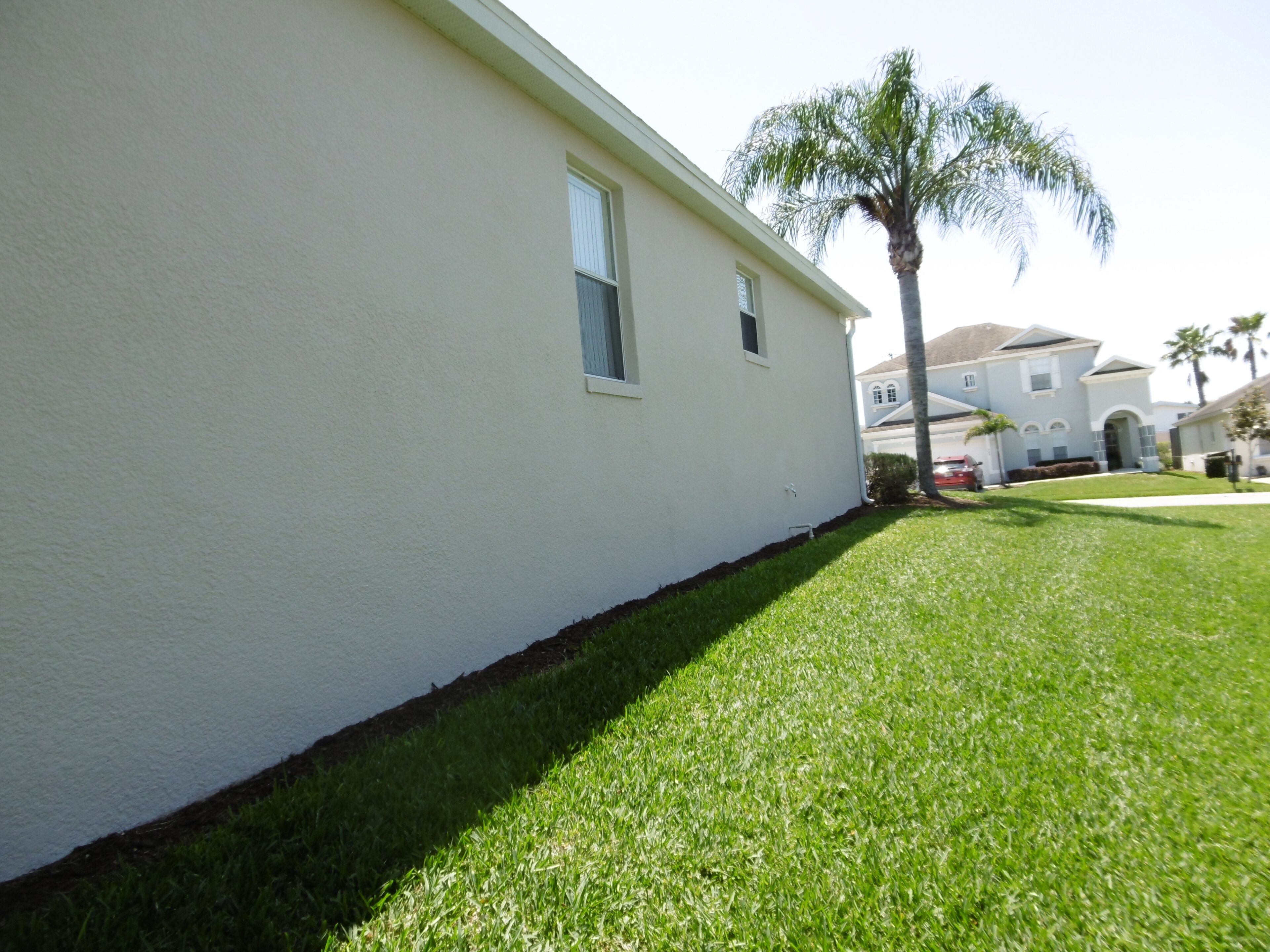 A white house with a well-maintained lawn and a palm tree.