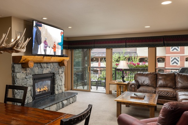 TV, fireplace, DVD player, books