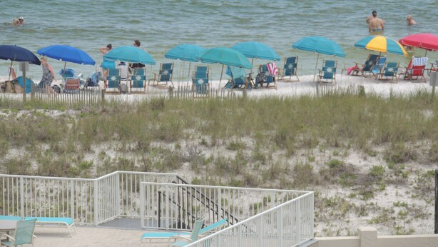 A beach with rows of beach chairs and umbrellas, a sandy beach, and a railing. - Stunning Gulf View Unit.......Last Minute Discounts Available! (Destin)