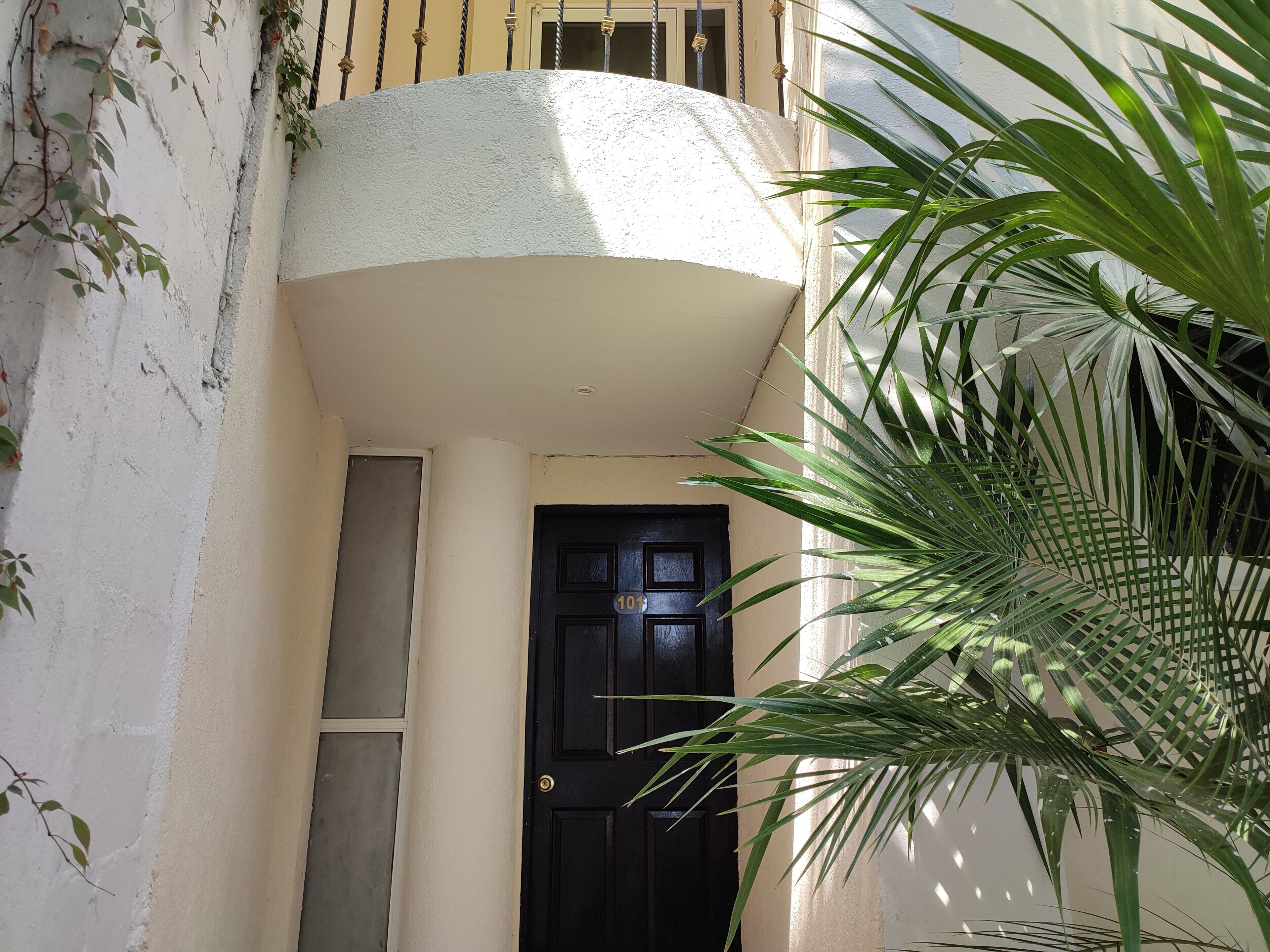 Ein Gebäude mit einer schwarzen Tür, einem Balkon und einer Pflanze.