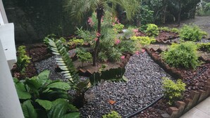A garden with various plants and a small water feature. - Hotel Ashly (Acapulco)