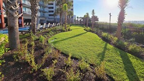 A well-maintained grassy area with palm trees, a poolside with lounge chairs, and a modern building in the background.