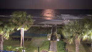 A beach view at night with palm trees, a pathway leading to the beach, and a few lounge chairs.