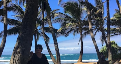 The Most Gorgeous OV Villa in Kapalua Sleeps 6