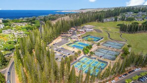 Exterior - The Most Gorgeous OV Villa in Kapalua Sleeps 6 (Kapalua)
