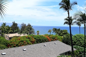A view of a building with a sloped roof, surrounded by lush greenery and palm trees, overlooking a clear blue ocean.