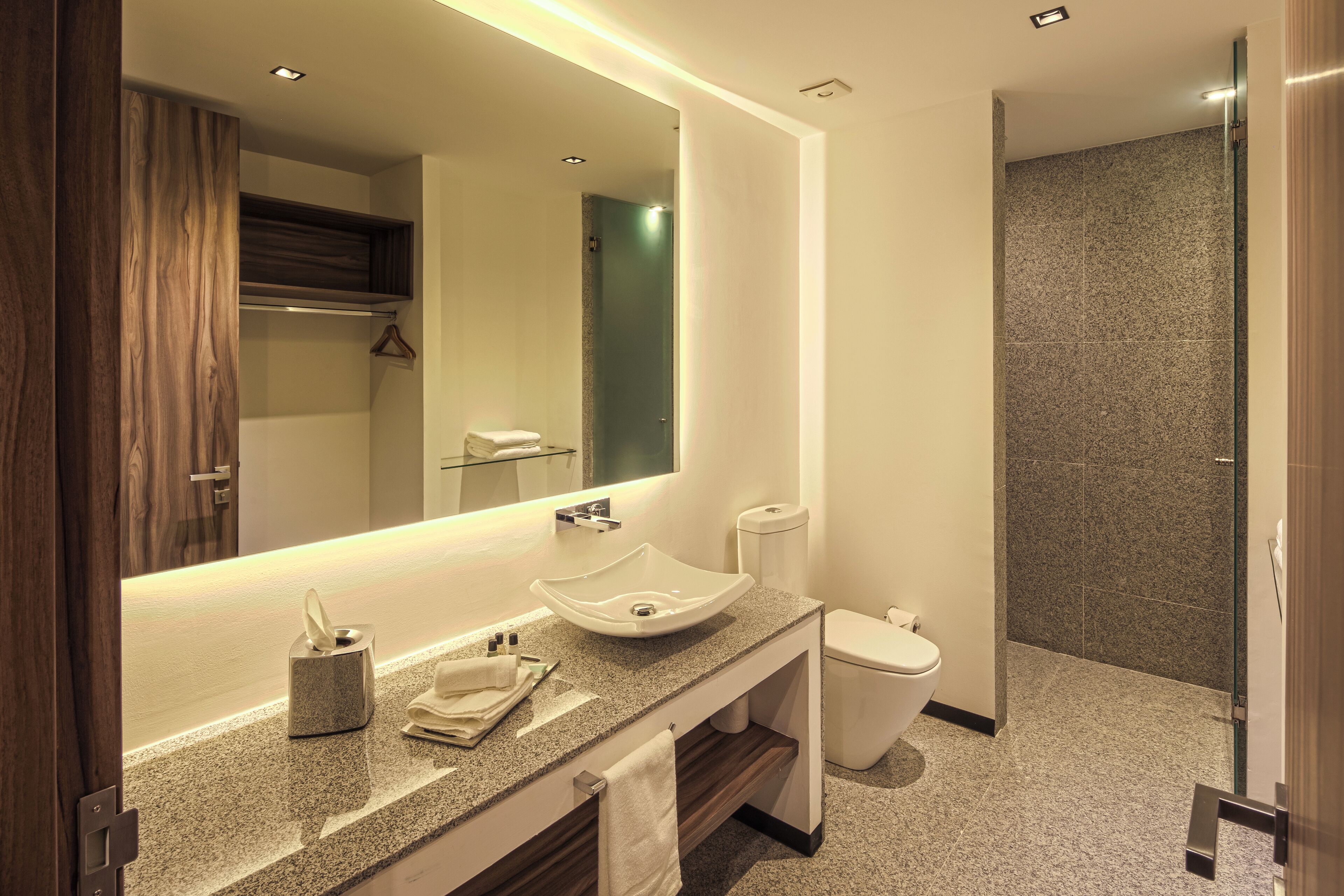 deluxe single room, 1 bedroom | bathroom | shower, free toiletries, hair dryer, towels